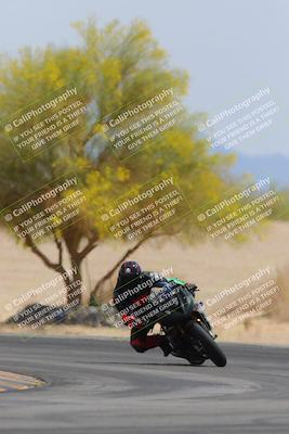 media/Apr-12-2025-Race Pace (Sat) [[9230add55f]]/Vested/6-Turn 4 Tree of Life (115pm)/